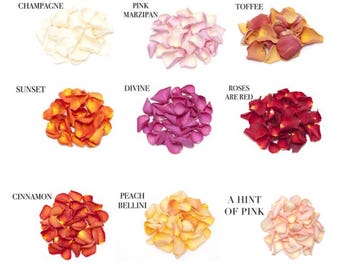 Your own mix of any biodegradable freeze dried wedding confetti petals 1 litre