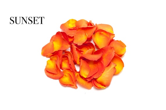 Orange natural biodegradable rose petals for wedding confetti decoration 