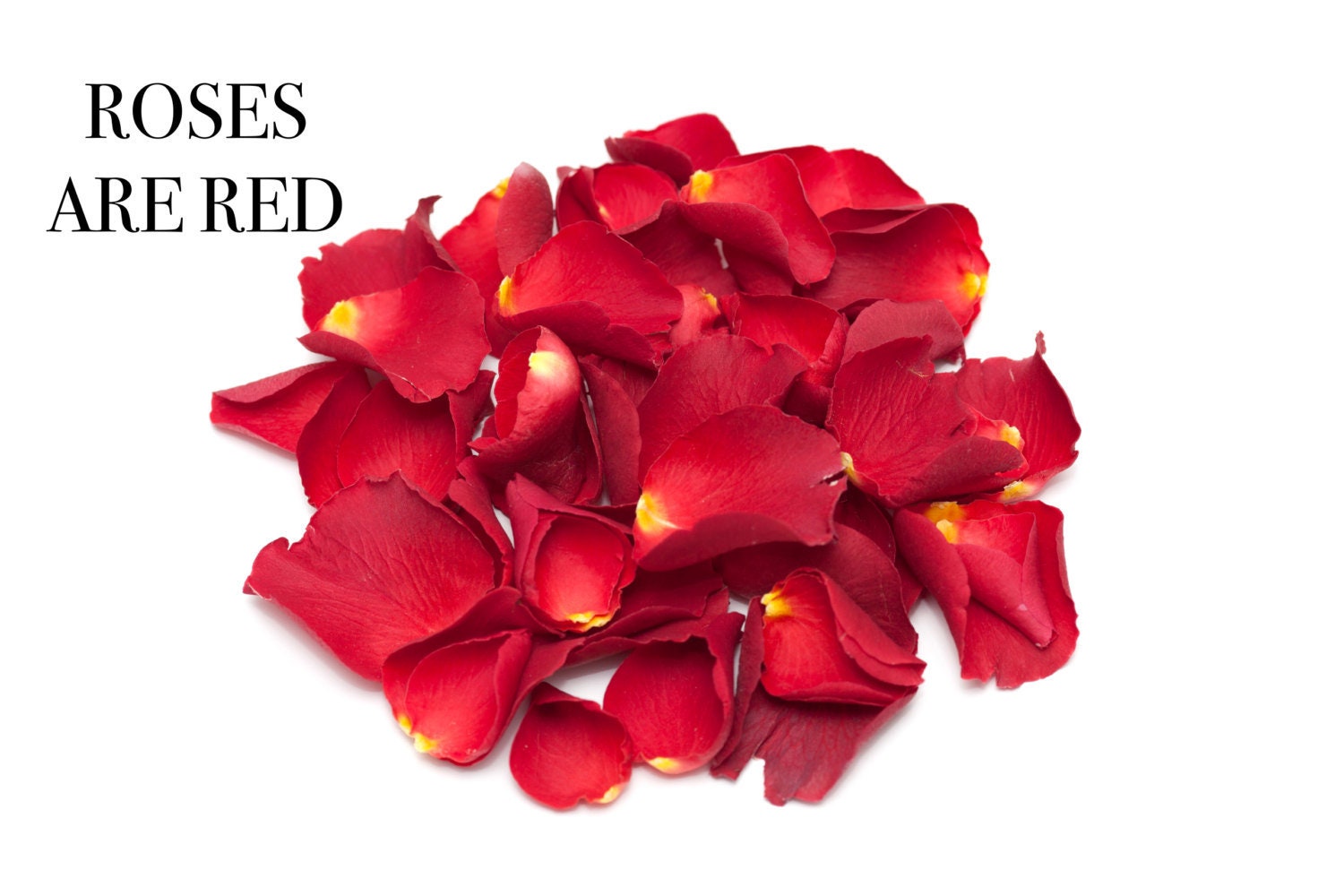 Red Rose Petal, Organic 1lb BULK Rosa Centifolia Tea Edible Dry Flower Food  Grade Herb 