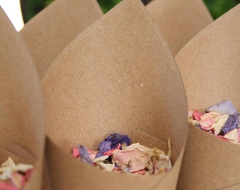 Plain wedding Confetti cones