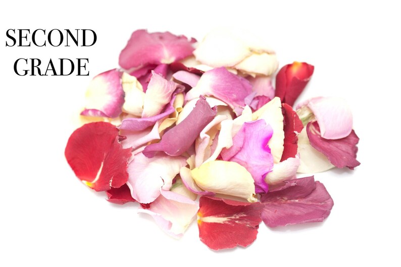 Freeze Dried Wedding Confetti Rose Petals Natural Etsy UK