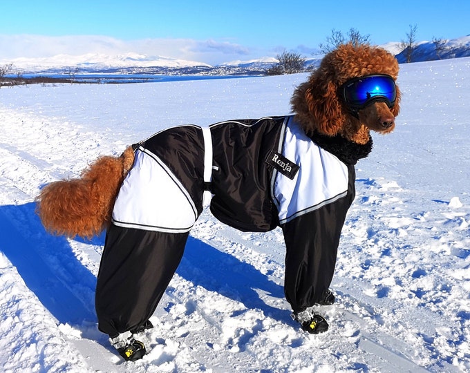 CUSTOM FIT Dog Winter Clothes Made Snowsuit Winter Full Body Jacket Coat Warm Large Breed Dog