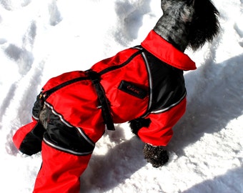winter dog suit with built in boots
