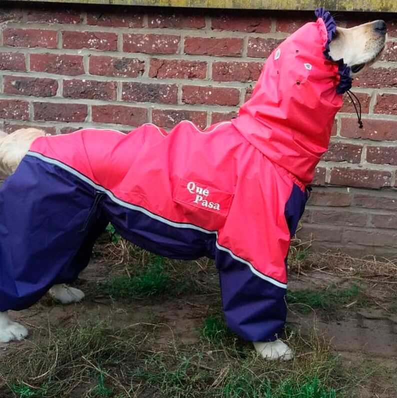 CUSTOM FIT Custom Dog Raincoat Full Body Large Breed Dog Rain Etsy