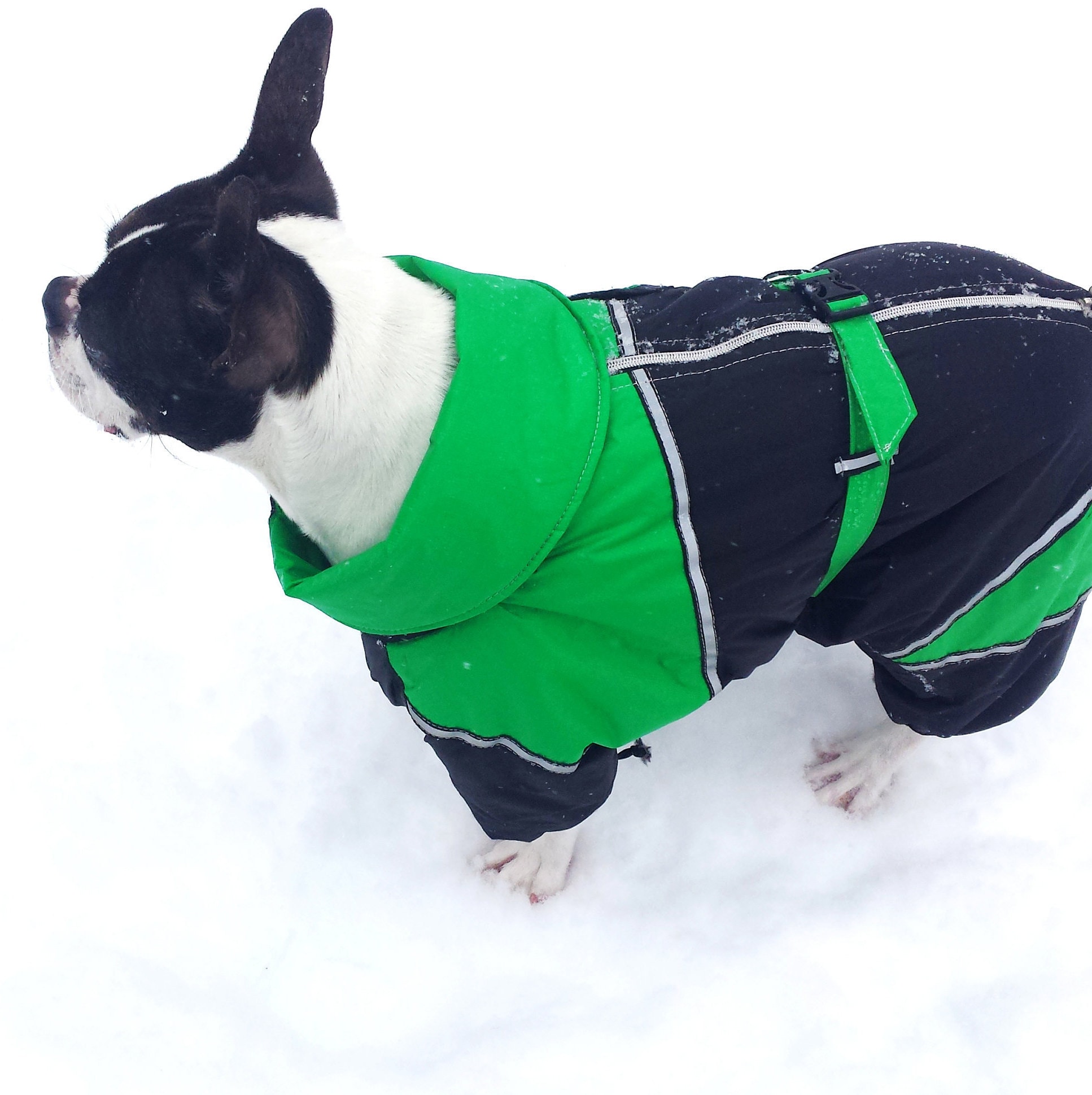 Dog Winter Suit
 CUSTOM FIT Dog Winter Clothes Made Snowsuit Winter Full Body