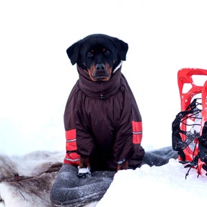 Fit Personnalise Vetements Dhiver Pour Chiens Custom Etsy