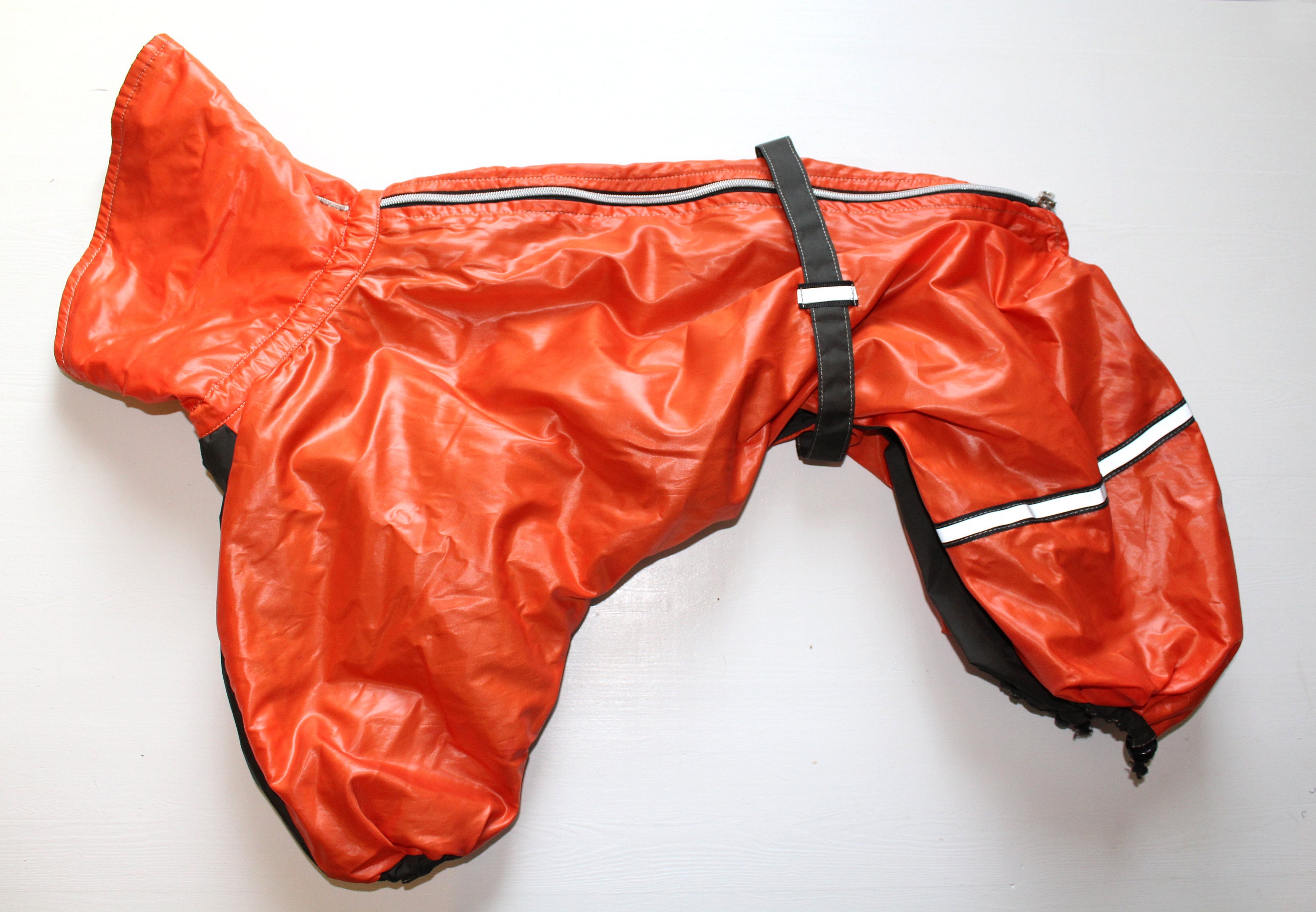 Cocker Spaniel or same size dog Female Dog Apparel Clothes Etsy