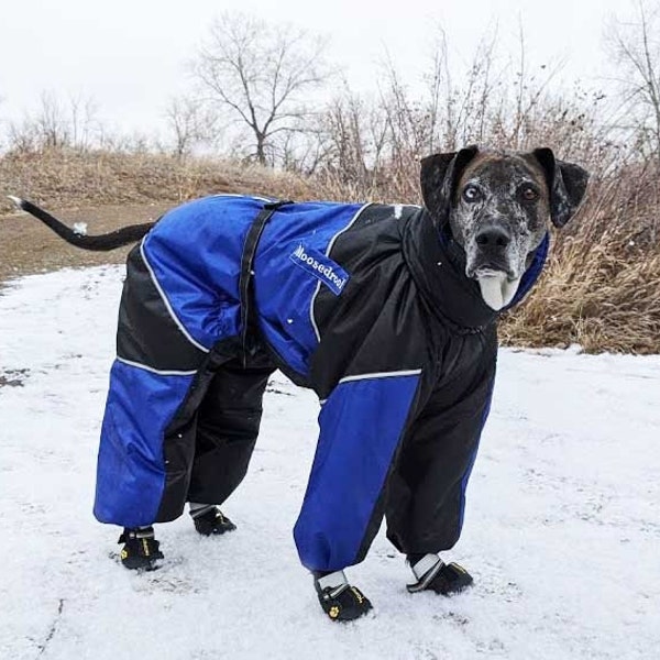 Dog Snowsuit With Boots Etsy