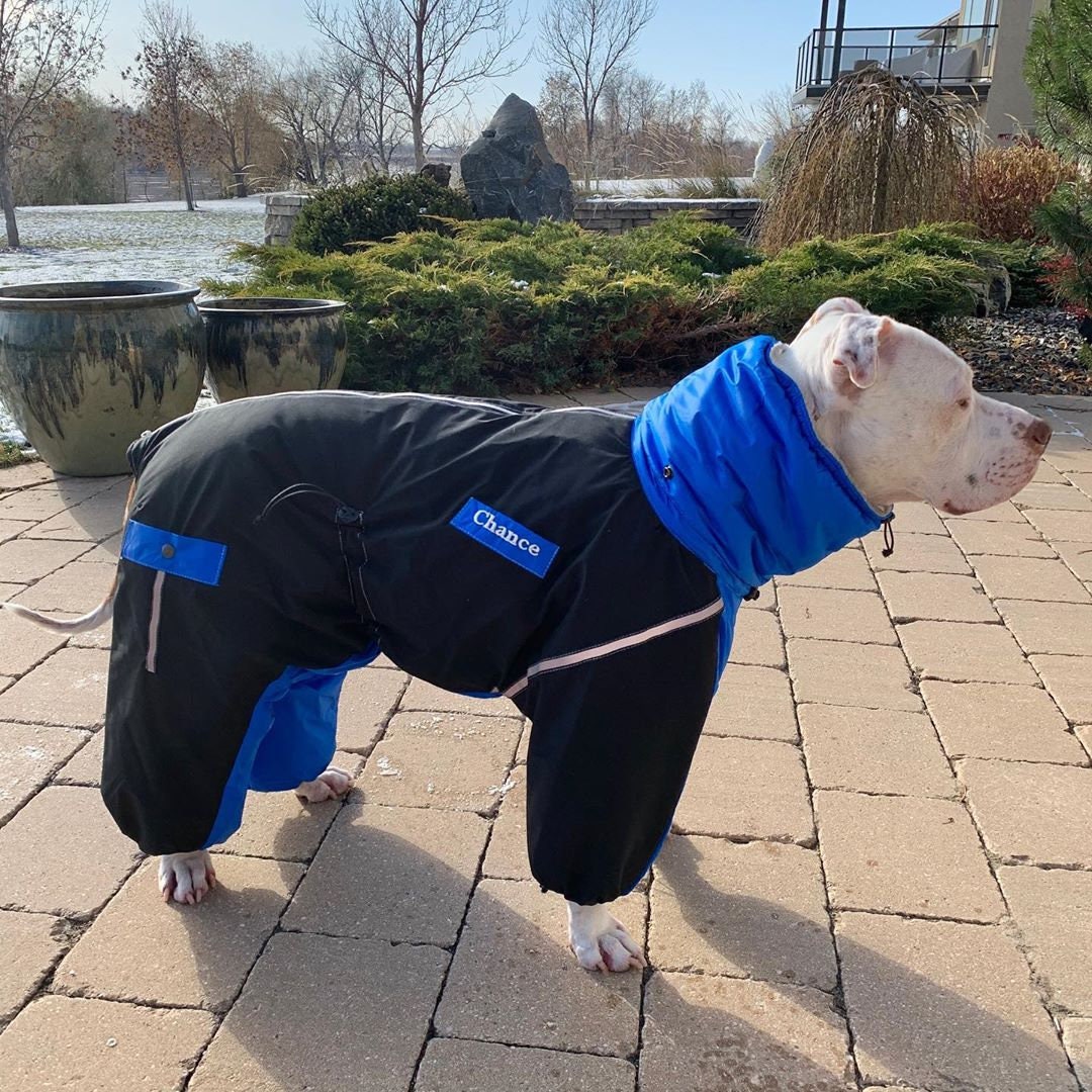 ANY BREED Dog Rain Coat With Attached Boots optional Dog Etsy