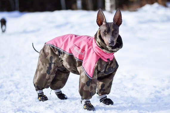 small dog snowsuit with attached boots