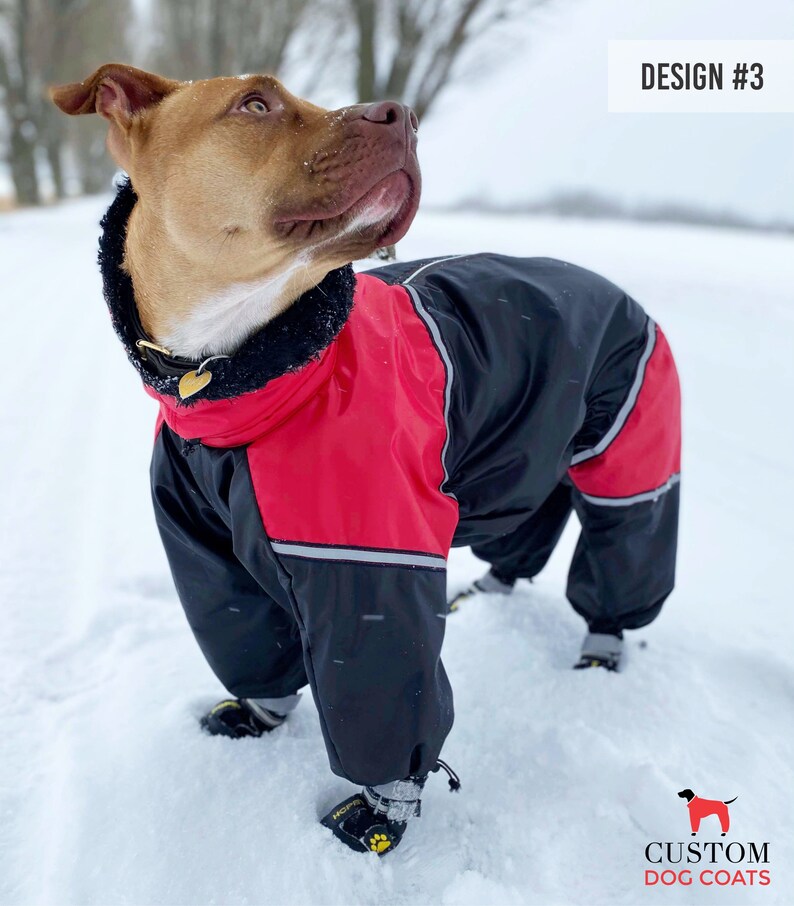 custom dog snowsuit