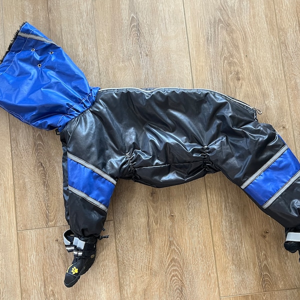 Shop Dog Snowsuit With Boots Online Etsy