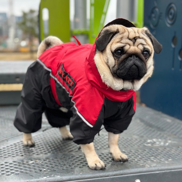 Dog Snowsuit With Boots Etsy