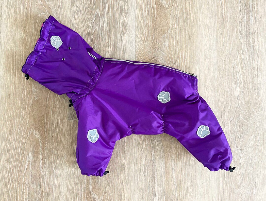 French Bulldog/ Boston Terrier Size Full Body Winter Coat Etsy