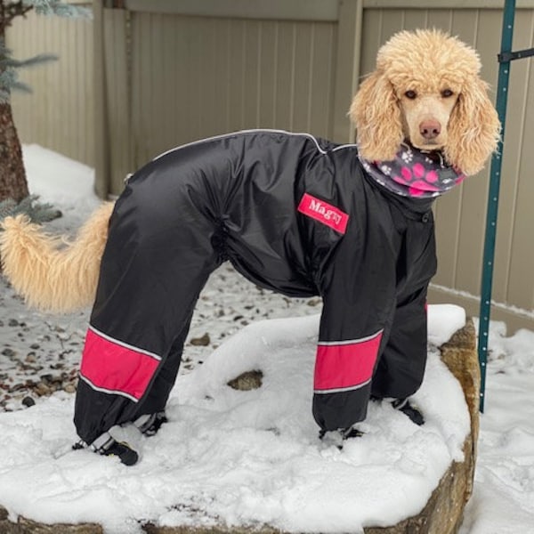Dog Snowsuit With Boots Etsy