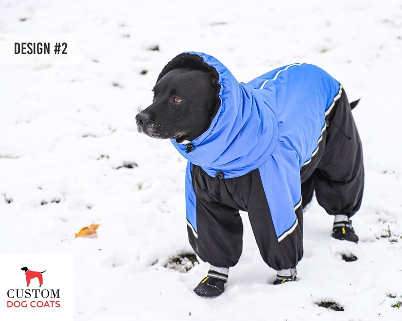 full dog snowsuit