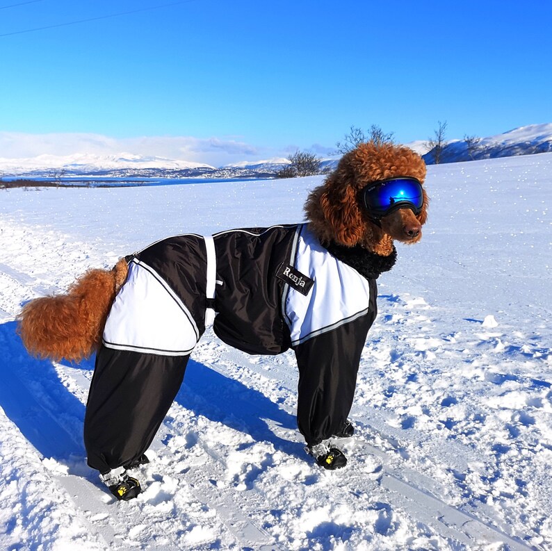 CUSTOM FIT Dog Raincoat Large Breed Dog Full Body Suit Dog Etsy