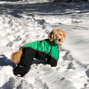 Dog Snowsuit With Boots Etsy Sweden