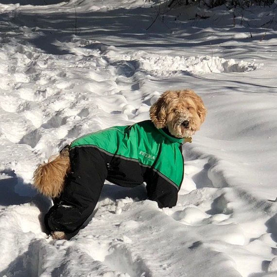 winter dog suit with built in boots