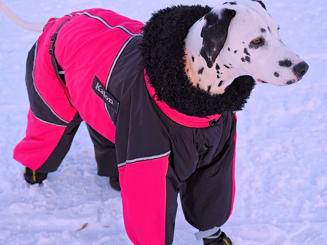 CUSTOM FIT Dog Winter Clothes Custom Made Dog Pet Snowsuit Winter Full