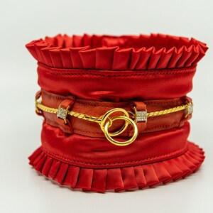 poodle protective collars