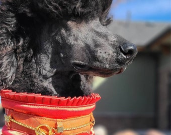 poodle collars