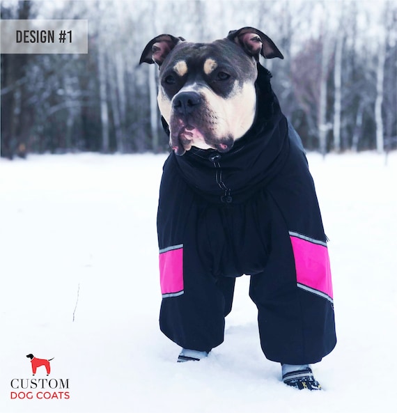 Pantalón y chaqueta de nieve para niño, traje de nieve para niña, ropa de  invierno para nieve, abrigo para niños