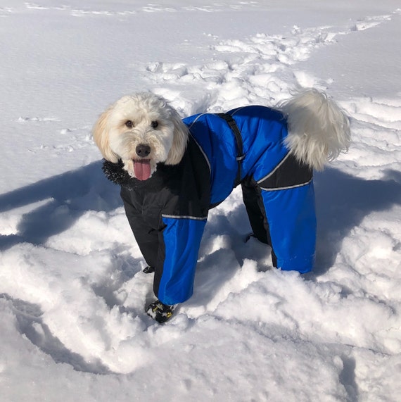 dog raincoat large breed