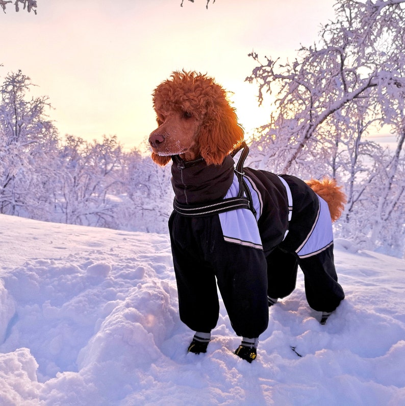 CUSTOM FIT Dog Winter Clothes Custom Snowsuit Winter Full Etsy
