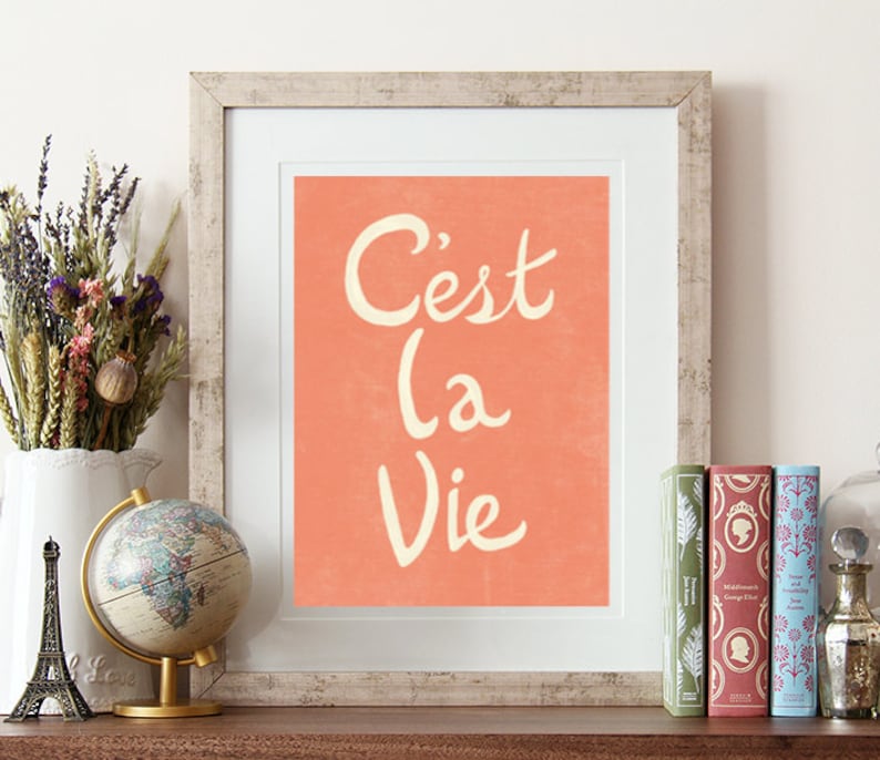 May include: A framed print with a peach background and white text that reads "C'est la Vie".