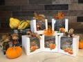 Fall Caramel Apples