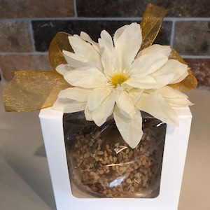 Op de afbeelding: Een karamel appel bedekt met gehakte noten wordt getoond in een doorzichtige plastic doos met een wit kartonnen deksel. De doos is versierd met een witte bloem en een gouden lint.