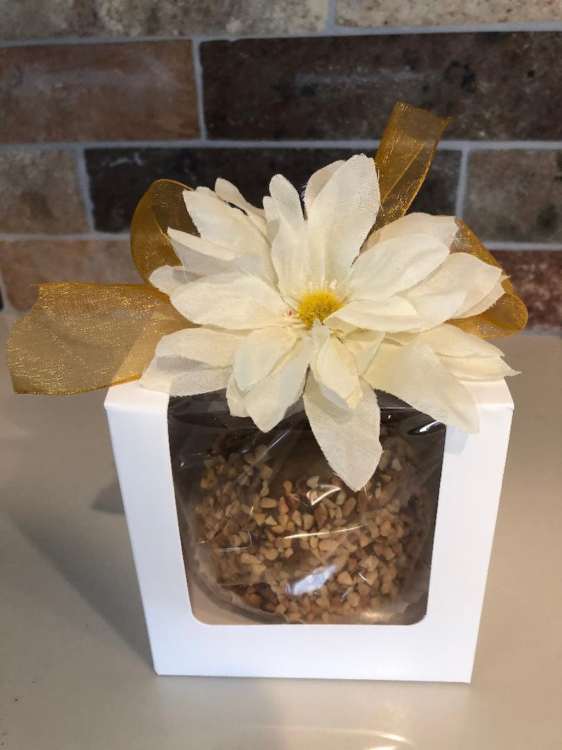 Op de afbeelding: Een karamel appel bedekt met gehakte noten wordt getoond in een doorzichtige plastic doos met een wit kartonnen deksel. De doos is versierd met een witte bloem en een gouden lint.