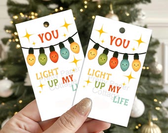 Christmas Lights Gift Tags: You Light Up My Life, (10) 2 x 3.5 in., Shipped
