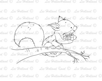 Squirrel On A Winter Branch Berry Spray Embroidered Kitchen Towel