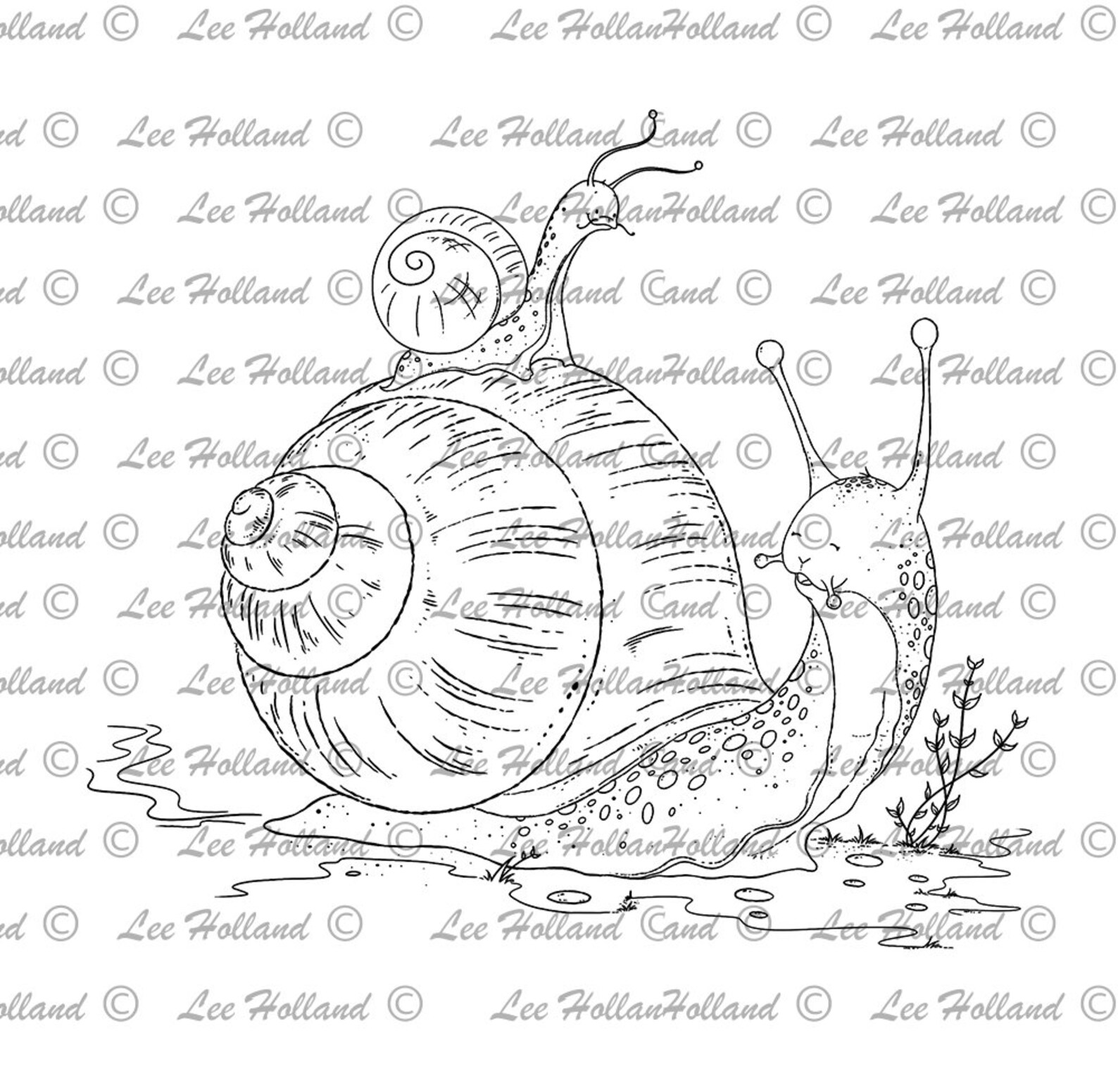 Woodland Snails Digital Stamp Card Making Colouring Etsy