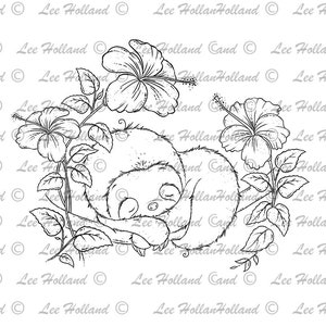 paresseux dormant avec des fleurs d’hibiscus, timbre numérique, fabrication de cartes, coloriage