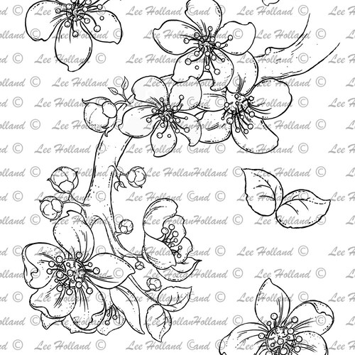 Raccoon With Bunting Digital Stamp Card Making Digi Stamp Etsy