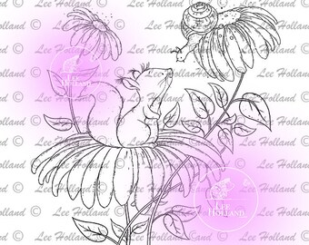 Puede incluir: Una ilustración en blanco y negro de una ardilla sentada en una flor con un caracol en otra flor. La ardilla está mirando hacia arriba al caracol. Las flores son margaritas.