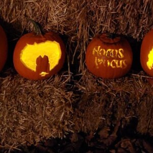 Hocus Pocus Pumpkin Carving Patterns - Printable PDF - Etsy
