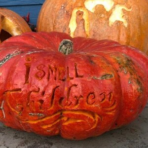 Hocus Pocus Pumpkin Carving Patterns - Printable PDF - Etsy