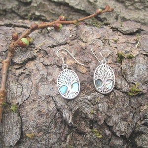 Peut inclure: Boucles d'oreilles ovales argentées avec un motif d'arbre de vie. Les boucles d'oreilles ont une bordure en filigrane et une incrustation bleu clair et irisée. Elles sont présentées sur une surface brune texturée avec une petite branche.