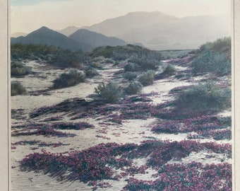 Avery Edwin Field 1883-1955 Signed colored desert Photograph