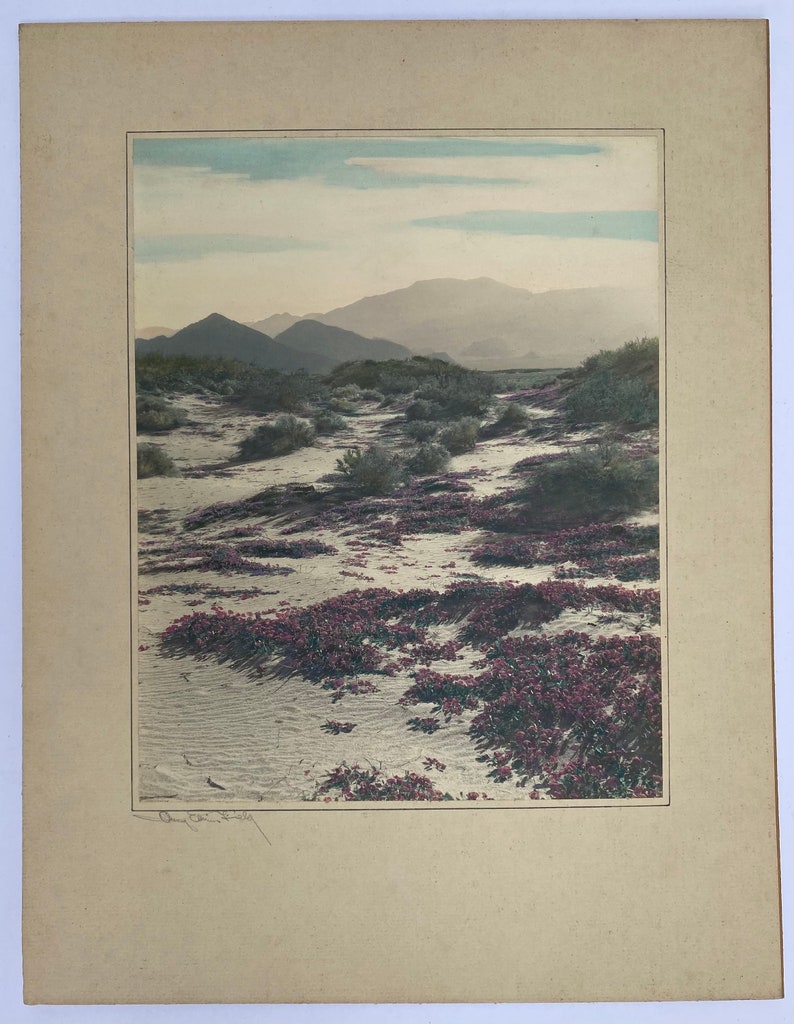 Avery Edwin Field Signed colored desert Photograph 1883-1955