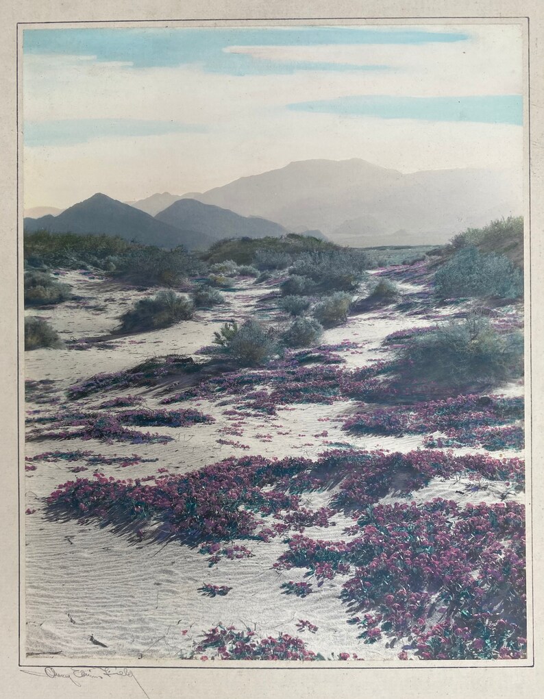Avery Edwin Field Signed colored desert Photograph 1883-1955