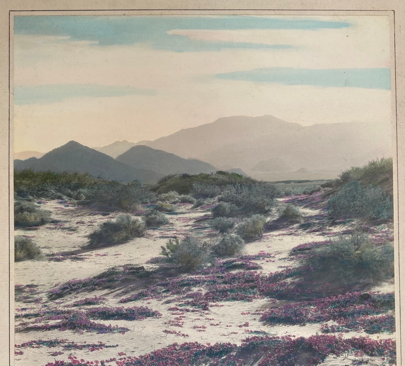 Avery Edwin Field Signed colored desert Photograph 1883-1955