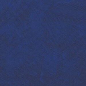 May include: A solid blue background with a subtle textured pattern.