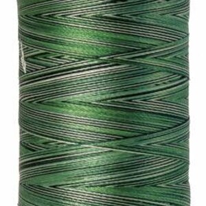 May include: A spool of green and white variegated thread with the text "Mettler" and "No. 40 800m/875yds" on the label.