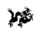 Shibori Dragon