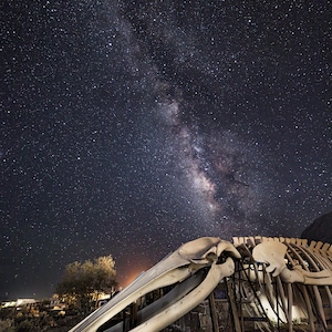 Milky Way Whale Stars photography canvas print home wall decor